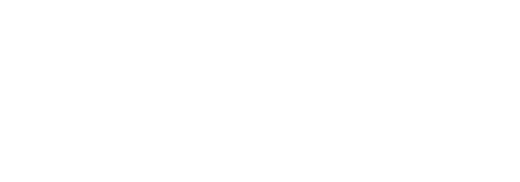 PARCEIROS_0006_banco-bv-logo
